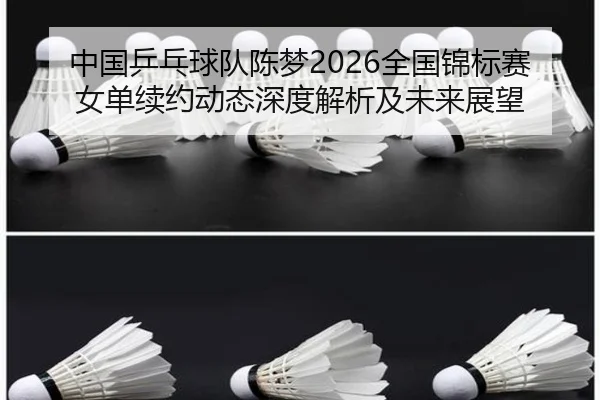 zhong-guo-ping-pang-qiu-dui-chen-meng-quan-guo-jin-biao-sai-nv-dan-xu-yue-dong-tai-shen-du-jie-xi-ji-wei-lai-zhan-wang-2-319.jpg